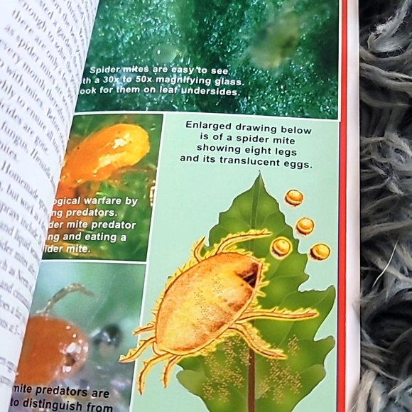 INDOOR GARDENING BIBLE - Picture 6 of 7